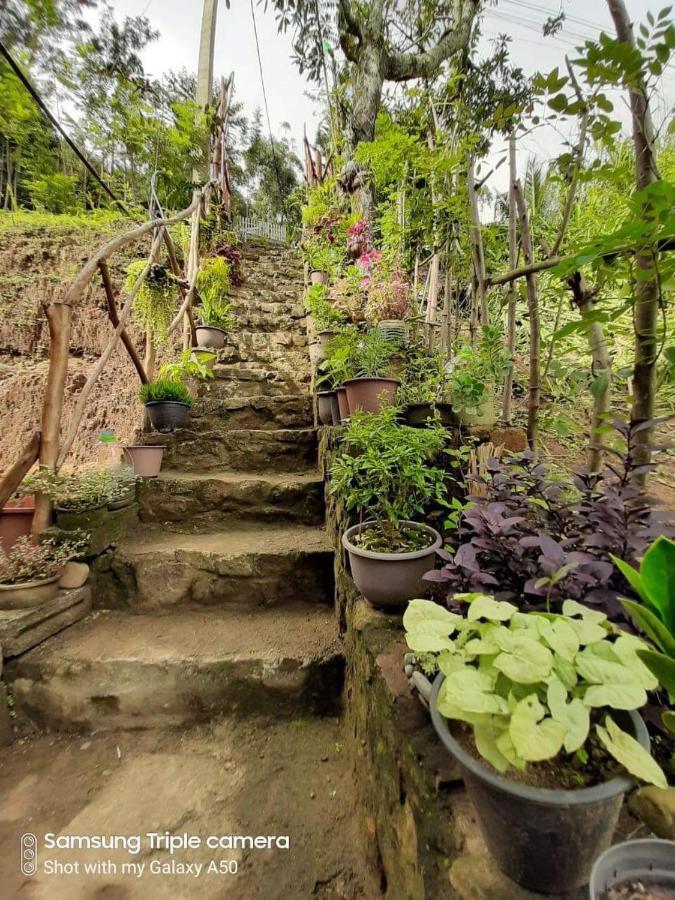 Biwon Homestay Ella Eksteriør bilde
